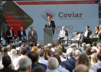 Coviar: Massa anunció el “dólar vino” y créditos para productores mendocinos
