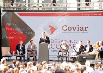 Desde la Asociación de Viñateros opinaron sobre la situación del vino y las medidas a adoptar