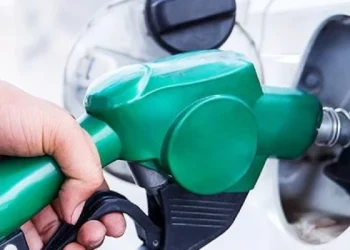 El Gobierno autorizó un aumento del 5% en los precios de biocombustibles