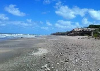 El cuerpo decapitado hallado en Miramar pertenece a un hombre y estuvo al menos tres meses en el mar