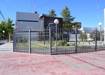 Desde Cecsagal  explicaron cómo ocurrieron los hechos que desencadenaron la muerte de cerdos en Alvear por falta de electricidad