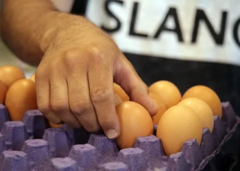 Disparada de precios del pollo y los huevos: ¿se vienen nuevos aumentos?