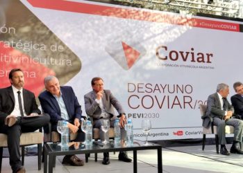 Expectativas en el sector vitivinícola por el anuncio de Massa de un dólar diferencial