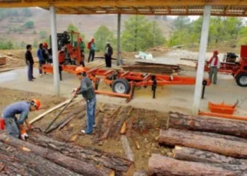 La AFIP detectó más de 80% de informalidad laboral en aserradores de Corrientes