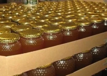 La Aduana denunció una exportación de miel por irregularidades