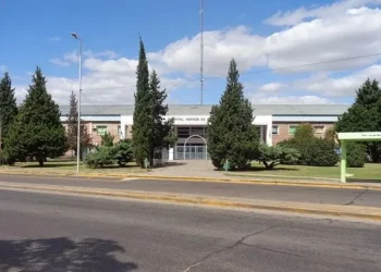 Inseguridad sin límites: Ladrones asesinaron a una mujer policía de un adoquinazo en la cabeza al intentar asaltarla frente a su familia