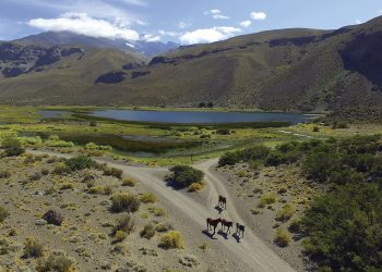 La Procuración de Mendoza dictaminó que las  tierras que reclama una mujer del Lof Mapuche le pertenecen a la empresa Sominar