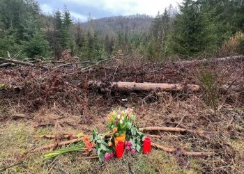 “Los detalles dan escalofríos»: dos nenas de 12 y 13 años asesinaron a puñaladas a una compañera