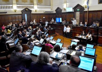 Diputados por mayoría repudió el decreto nacional:  “los mapuches no deben ser considerados pueblos originarios argentinos”