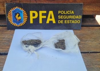 La Policía Federal detuvo a un hombre con marihuana en la plaza San Martín