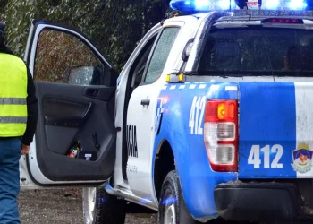 Neuquén: Un hombre mató a su hermano durante una pelea familiar y confesó el crimen para no ir a juicio