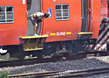 Recolectaba paltas sobre las vías de un tren y murió arrollado