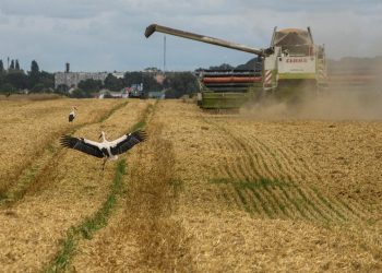Rusia busca prorrogar el acuerdo de exportación de cereales de Ucrania, aunque sólo por 60 días