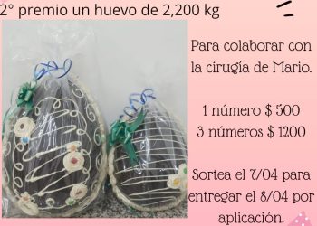 Sortearán dos grandes huevos de Pascuas para pagar una costosa cirugía