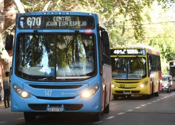 Vendimia 2023: ¿Cómo será el servicio especial de transporte para ir al Acto Central y el operativo de seguridad ?