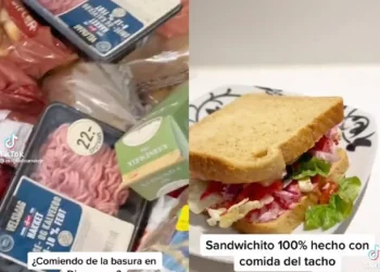 Viral: Argentinos en Dinamarca se filmaron buscando comida en los tachos