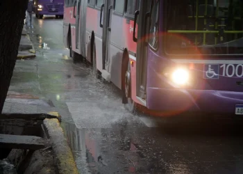 Viviendas anegadas, árboles caídos y derrumbes: las zonas más afectadas por la tormenta en la provincia de Mendoza