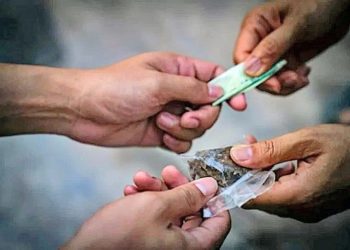 Según un informe,  uno de cada cuatro hogares percibe que hay tráfico de drogas en sus barrios