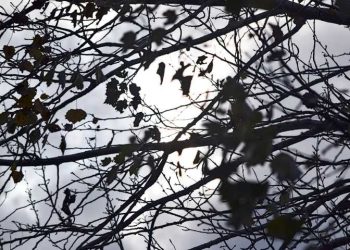 El pronóstico del tiempo: miércoles ventoso y con marcado descenso de la temperatura