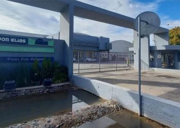 Río Negro: ladrones realizaron un robo millonario en una fabrica y metieron a tres empleados en una cámara de frío