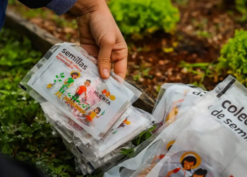 Dará comienzo una nueva edición del programa  ProHuerta con la entrega de semillas de temporada