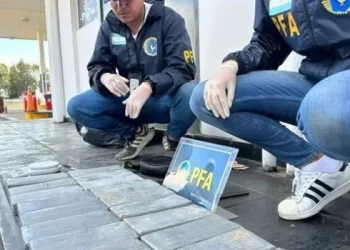​Secuestran 25 kilos de cocaína a una banda liderada desde la cárcel por un miembro de «Los Monos»