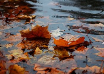 Fin de semana lluvioso y fresco en la provincia de Mendoza