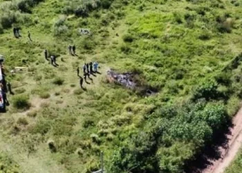 Cayó una avioneta en el sur de Salta y murió una persona