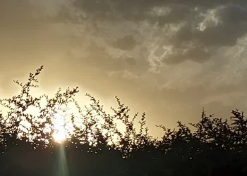 El tiempo en la provincia de Mendoza: máxima de 22 grados y alerta amarilla por vientos intensos en algunas zonas del sur provincial