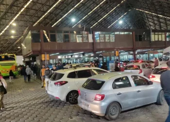 Ingreso masivo de chilenos a Mendoza: cruzaron más de 12 mil turistas y se registraron importantes demoras