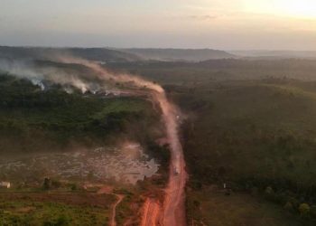 Google ofrece su inteligencia artificial para combatir la devastación amazónica