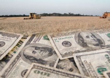 Por la caída de la cosecha, las cerealeras planean vacaciones adelantadas y paradas técnicas de las plantas