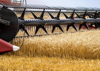 La sequía, más allá del agro: cuáles son los sectores ganadores y perdedores frente al impacto climático