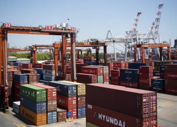 Un juez federal de Rosario rechazó un amparo contra la suspensión de un exportador