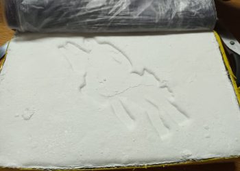 Importante golpe al narcotráfico en la provincia de Mendoza: Secuestraron 18 kilos de cocaína a un “power trío” con conexión internacional