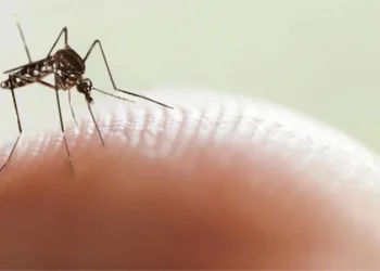 Aumentan los casos de dengue y suma el tercer confirmado en Mendoza