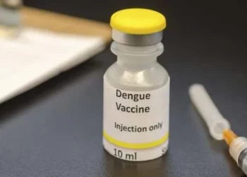 Cuáles son las vacunas contra el dengue y cuáles están en Argentina