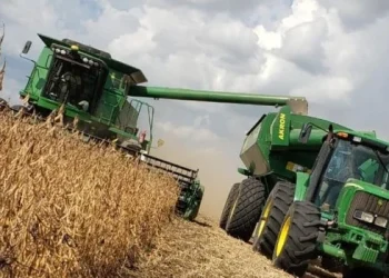 El Gobierno defendió el dólar agro y remarcó que representa «un esfuerzo fiscal enorme»