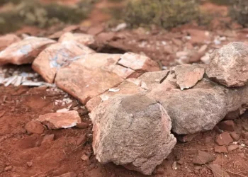 El hallazgo de restos de un dinosaurio gigante revoluciona la zona de Vaca Muerta