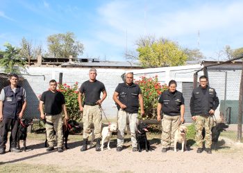 Explicaron la importancia de sumar tres canes a la División de Lucha contra el Narcotráfico en el Sur