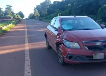 Otra tragedia en el país: Iba a la escuela y murió atropellado cuando quiso cruzar la ruta