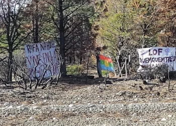 Tensión en El Bolsón: Invocando una supuesta reivindicación mapuche, usurparon un campo y atacaron con machetes a los propietarios