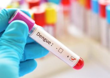 La ANMAT aprobó la vacuna contra el dengue: cuándo estará disponible y para quiénes