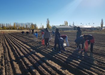 San Carlos: La escuela rural que necesita un tractor para 200 alumnos que estudian para aprender a trabajar la tierra