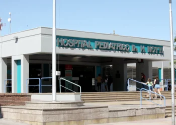 Mejora el estado de salud del niño que fue atacado por una jauría