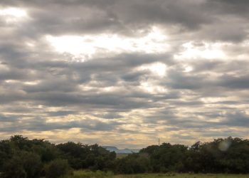 Un viernes con temperaturas agradables: el pronóstico para la provincia de Mendoza