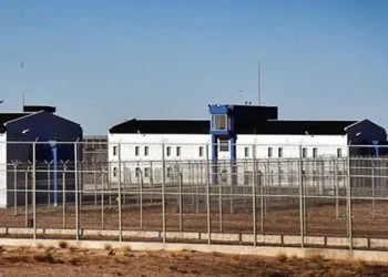 Puerto Madryn: No volvió de la salida transitoria porque quería «tomar vino, comer asado y hacer el amor»