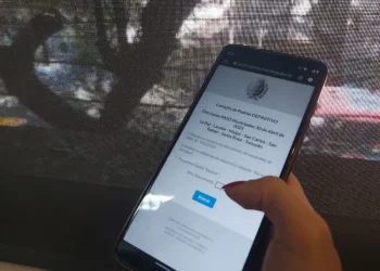 PASO en siete departamentos de Mendoza: consultá el padrón aquí