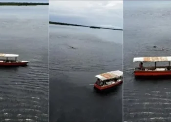 De película: Su esposo murió mientras pescaban en Brasil, estuvo una semana a la deriva y sobrevivió comiendo pescado crudo