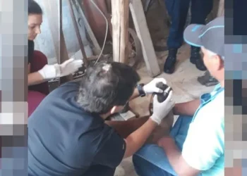 Horror en Salta: Un albañil fue detenido por abusar de tres perras